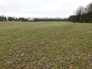 Property photo 16 - LAND AUCTION - 156.63+/- ACRES OFFERED IN 7 TRACTS IN ALLEN COUNTY, INDIANA